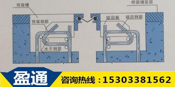F型立面图.jpg