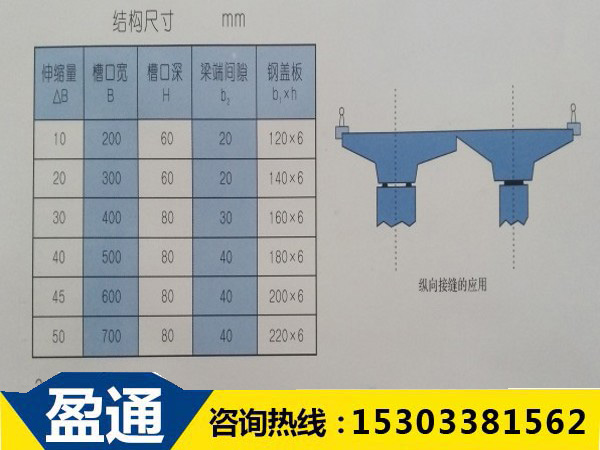 TST填充式桥梁接缝弹塑体的结构尺寸图