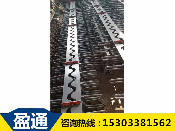 SSF梳齿板桥梁伸缩缝