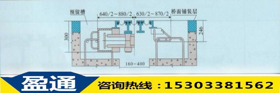 mzl-240断面图.jpg
