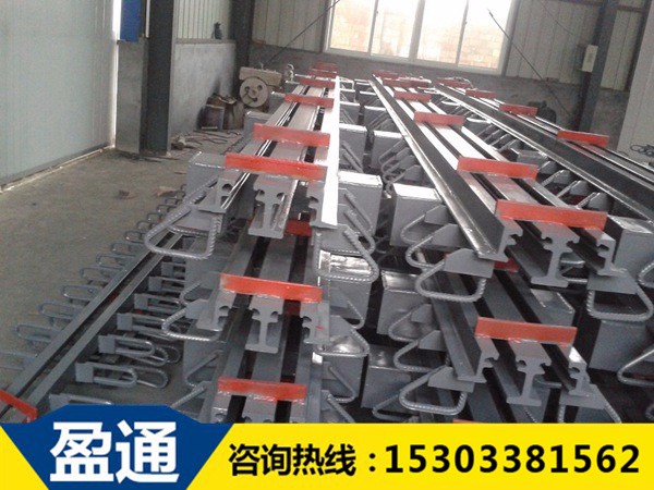 模数式桥梁伸缩缝-MZL-160 5.jpg