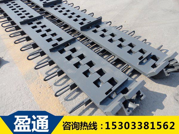 SSF桥梁伸缩缝‍