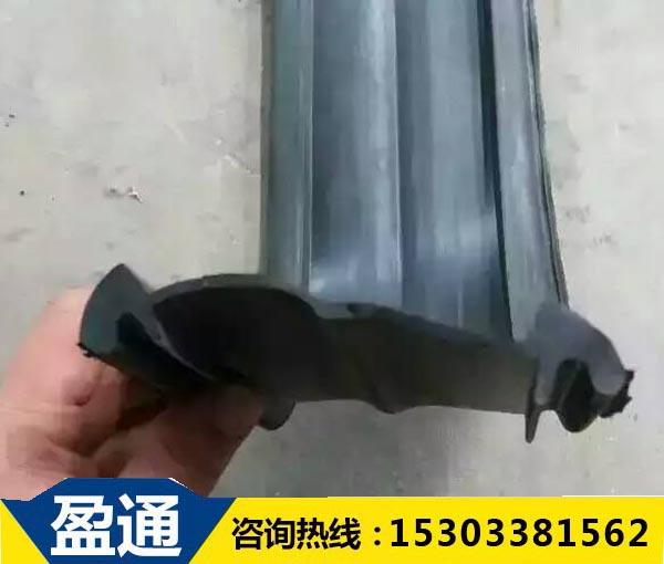 桥梁伸缩缝胶条