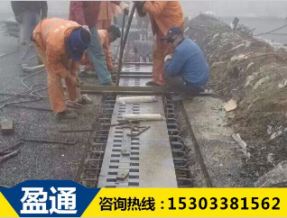 SF梳齿板式伸缩装置