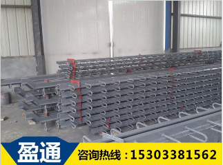 桥梁伸缩缝能起到防水防尘的作用吗